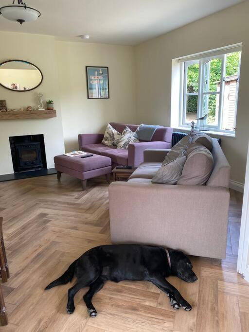 Lovely Quiet Cottage Sleeps 4 Adults, 4 Children, Dog Friendly Cley next the Sea Luaran gambar